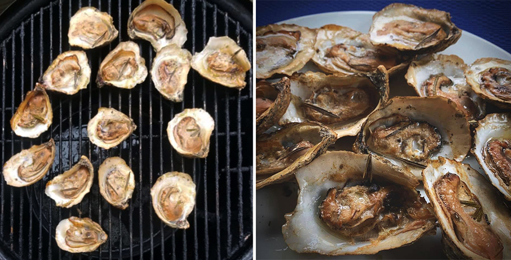 Side by side images of grilled oysters. Left is oysters on a grill. Right is oysters on a plate.