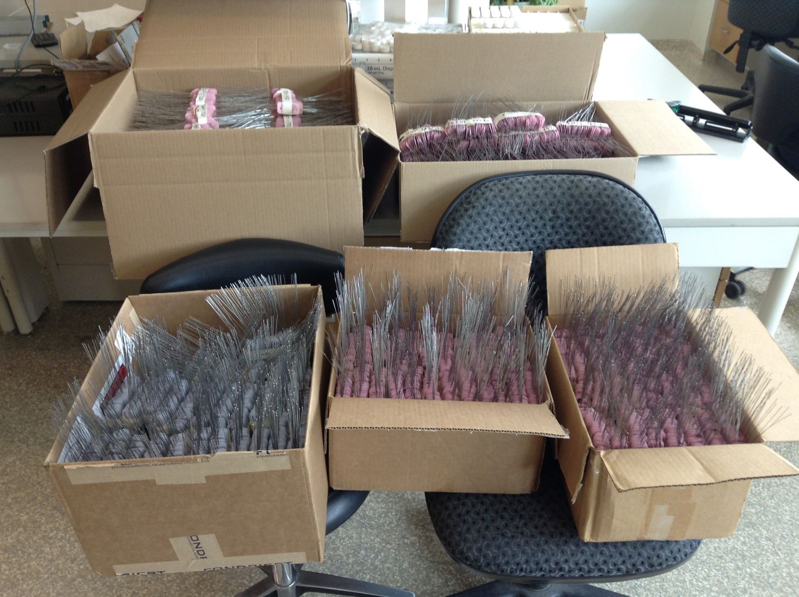 Over six thousand plastic tags, wired and ready to travel all around the Chesapeake Bay on the backs of blue crabs.