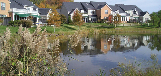 stormwater pond