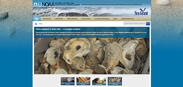 national sea grant web page