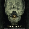 promotional poster for the movie, "The Bay"