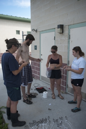 student interns and oystery hatchery staff preparing to install oyster growing equipment in the water