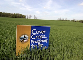 photo of field and sign advertising Maryland's cover crops program