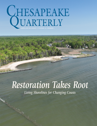 Restoration Takes Root Cover aerial view of bay shoreline with beach and trees