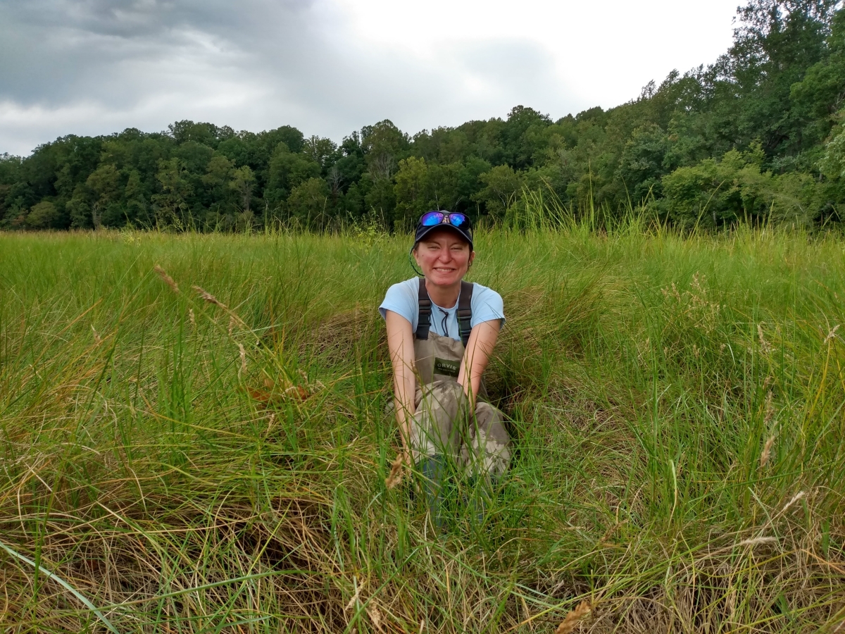 Hope Brooks, a research technician with the Smithsonian Environmental Research Center, enjoying native marsh grasses during Sea Grant project fieldwork.