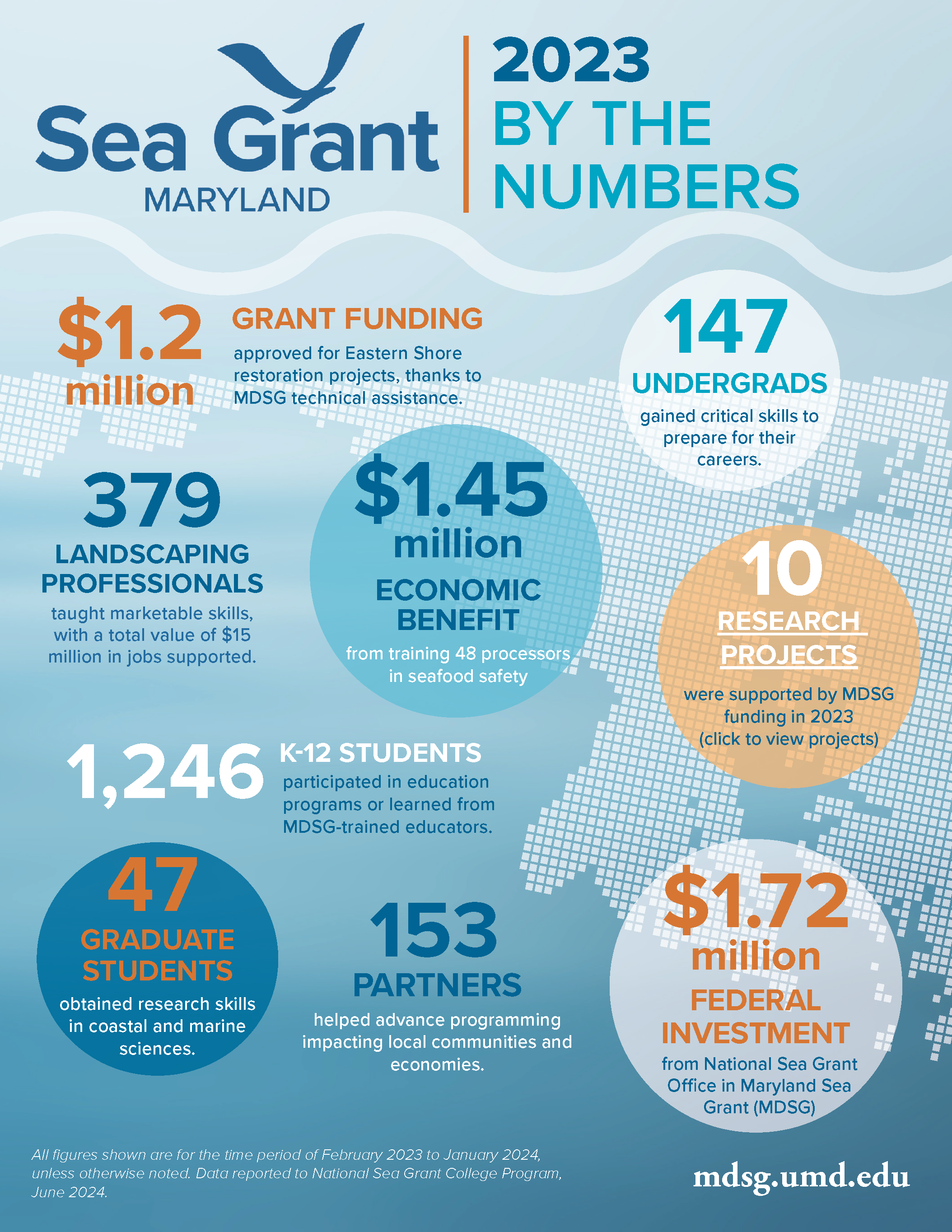 MDSG by the numbers flyer