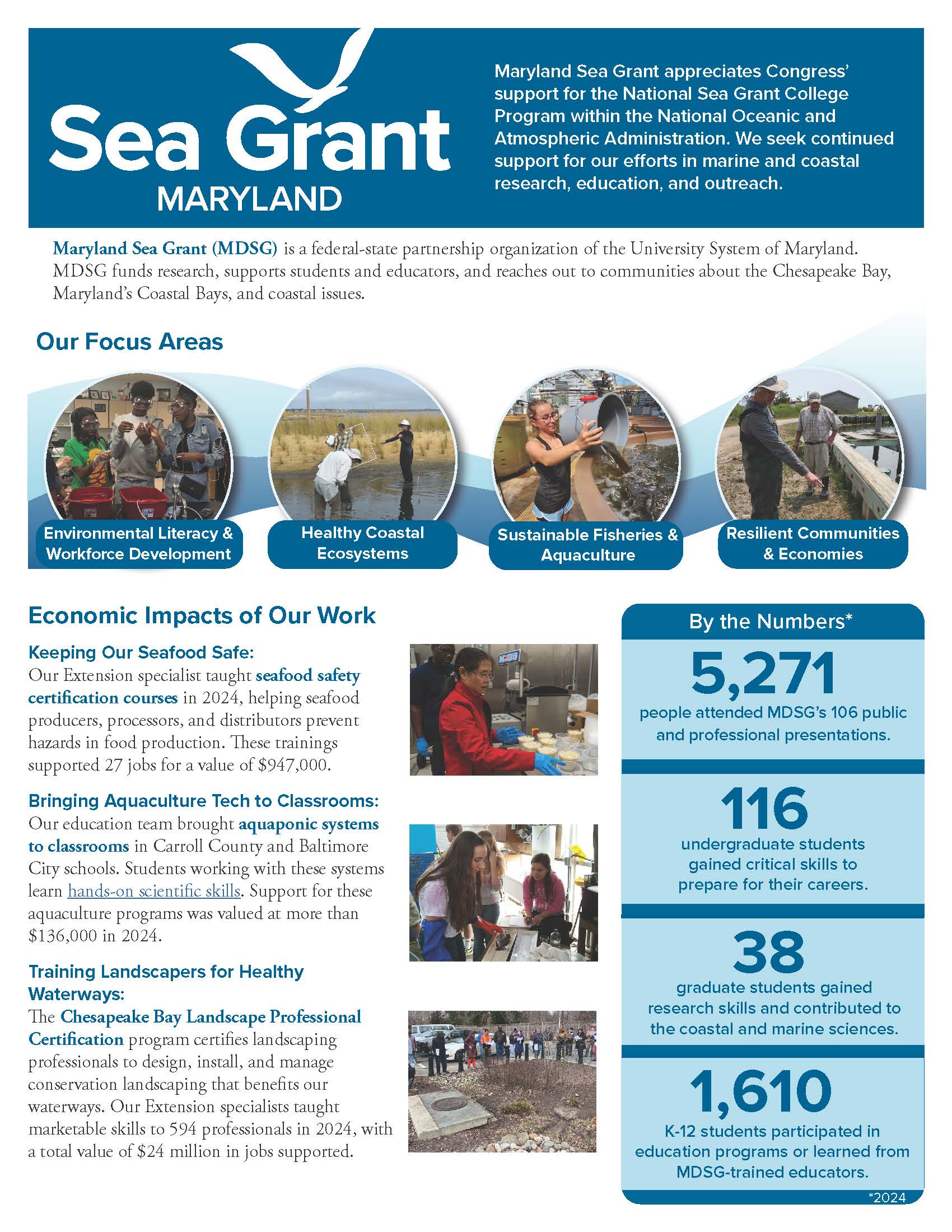 General MDSG highlights flyer