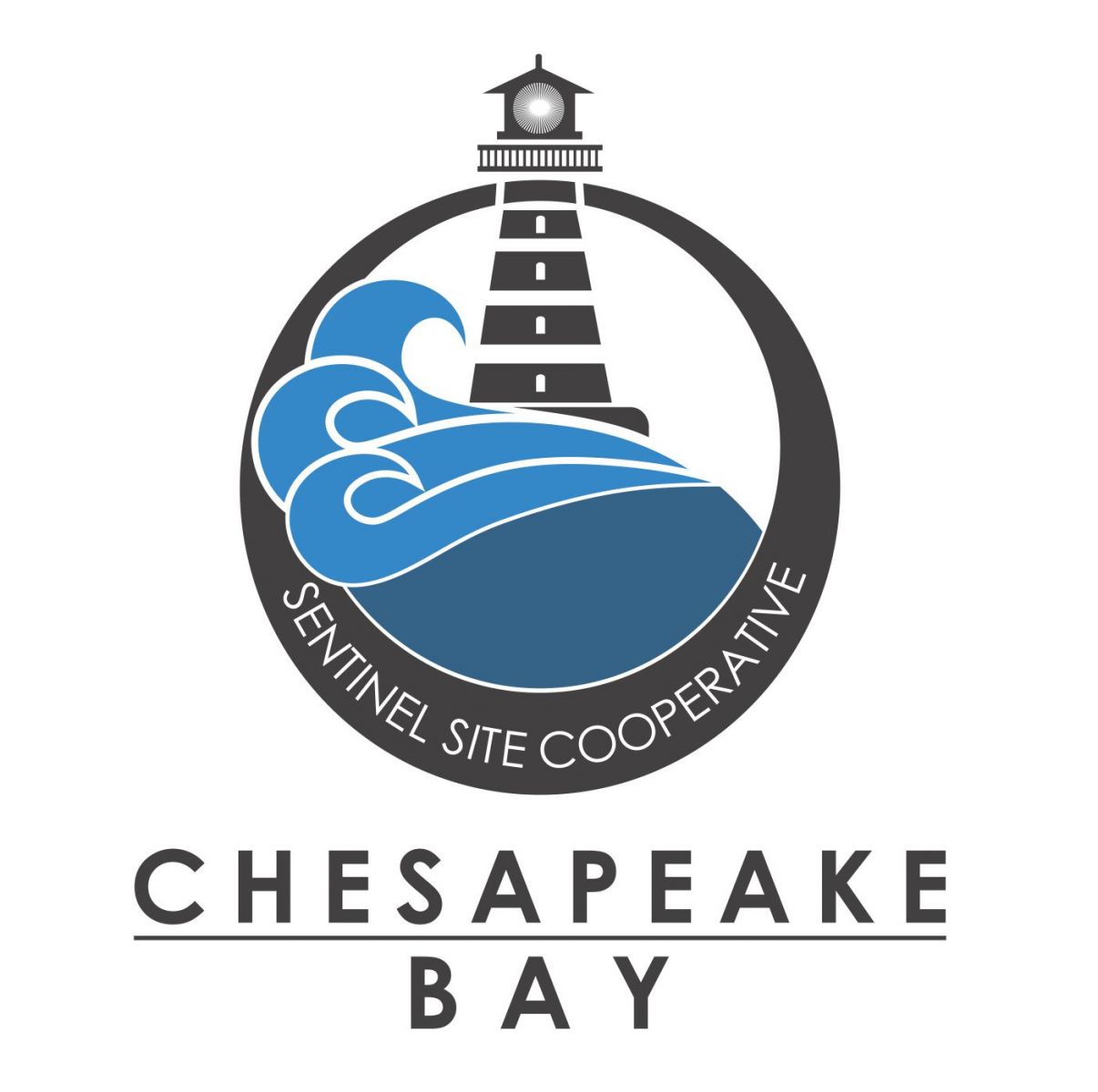logo of Chesapeake Bay Sentinel Site Cooperative