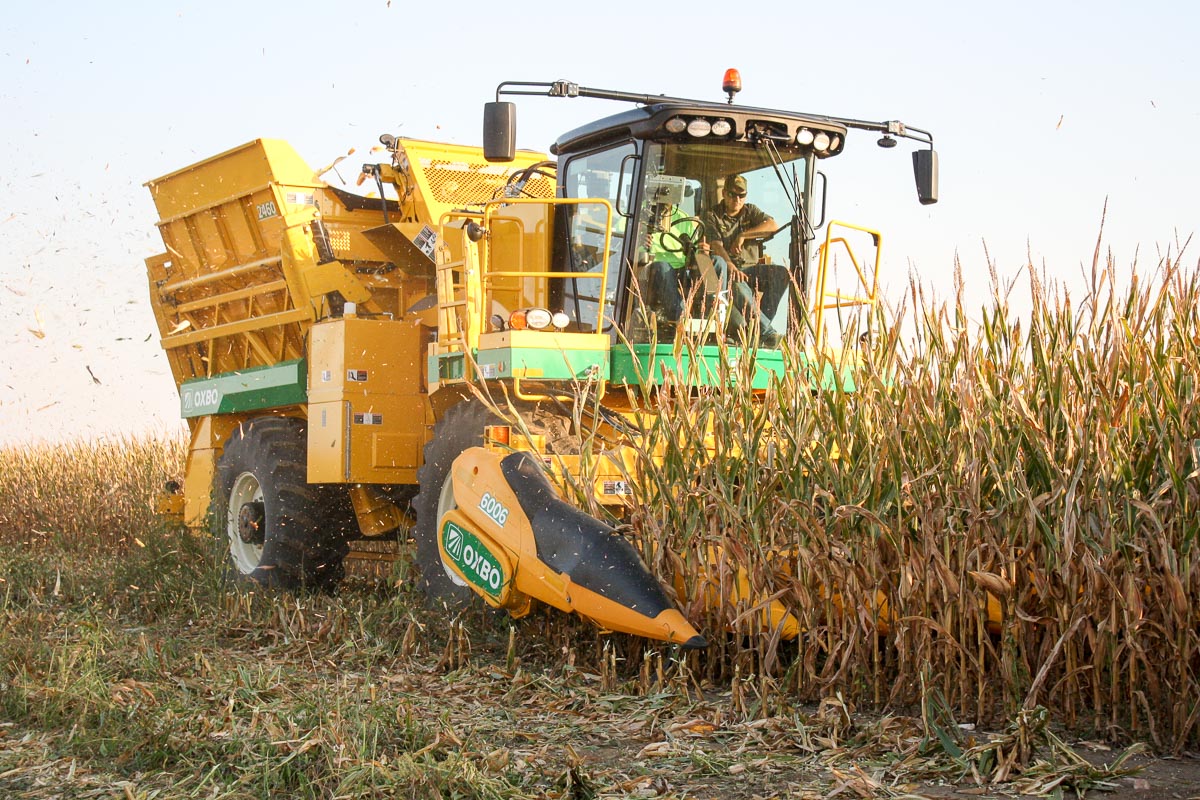 Photo of self-propelled harvester