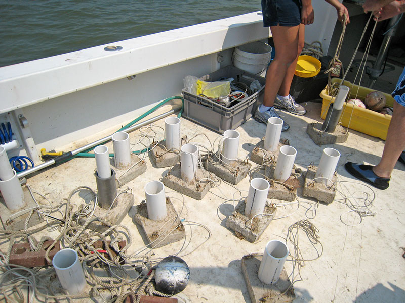 sediment traps made of PVC pipe on concrete anchors