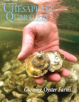 cover of Chesapeake Quarterly Volume 14 Issue 4