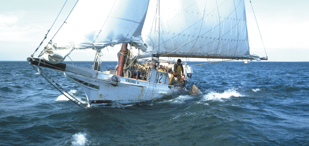 skipjack sailing vessel dredging for oysters
