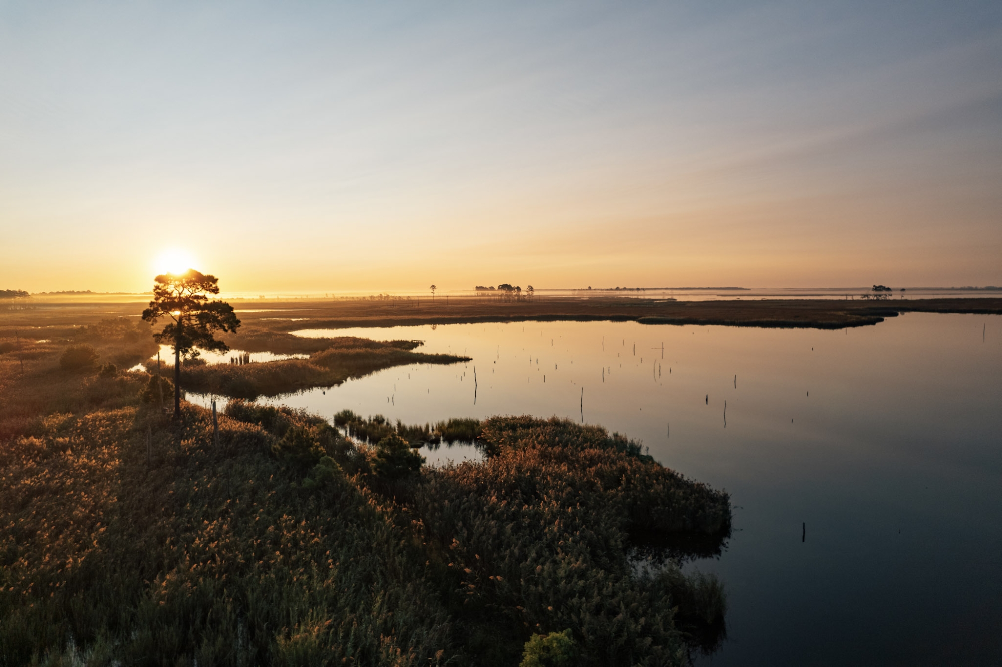 A marsh with a large body of water surrounded by grasses and shrubs at sunset