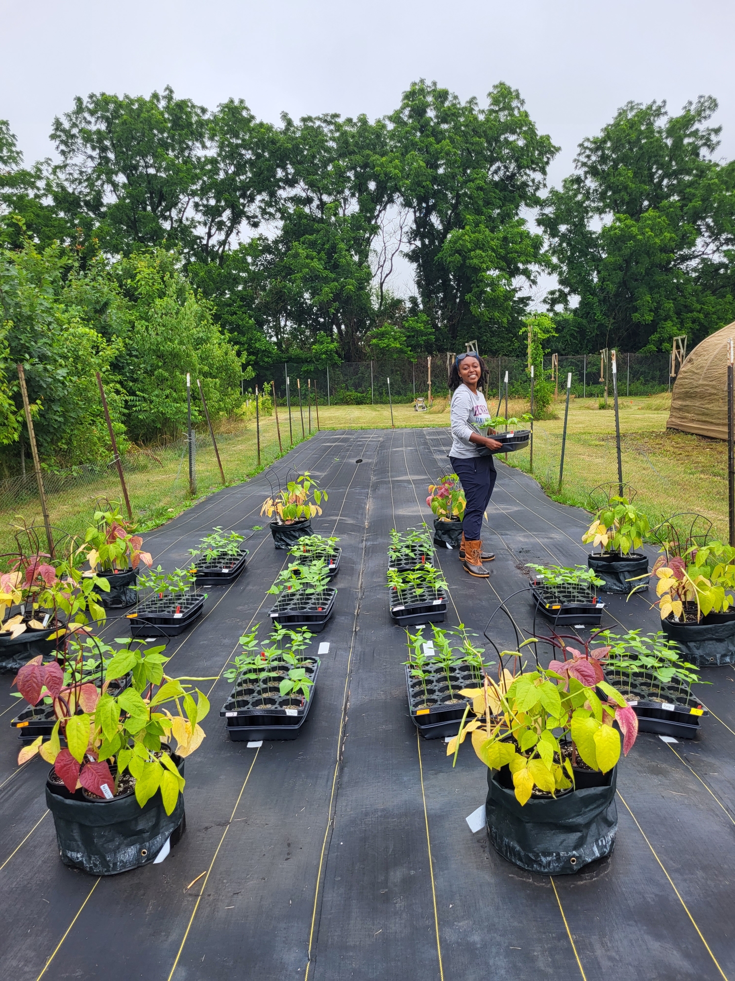 A young woman stands on a garden plot and holds a tray of plants. Other trays of plants are scattered around the plot