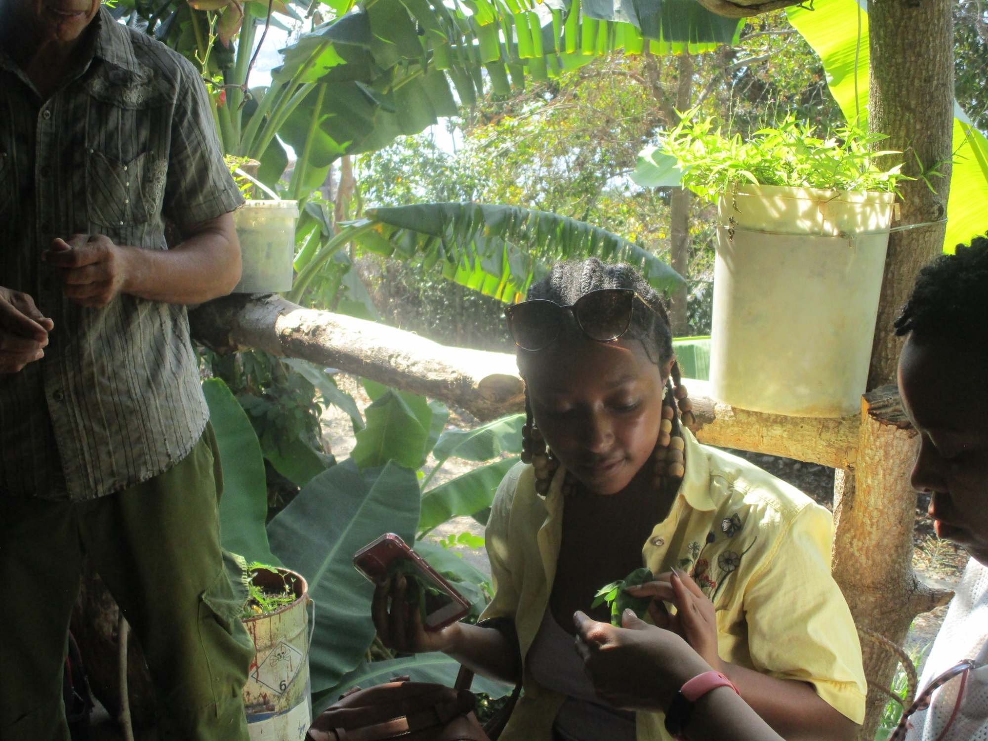 A young woman in a tropical forest touches a small leaf that another woman is showing to her