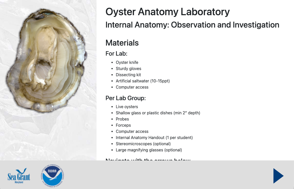 image of a browser window with the Internal Anatomy Lab