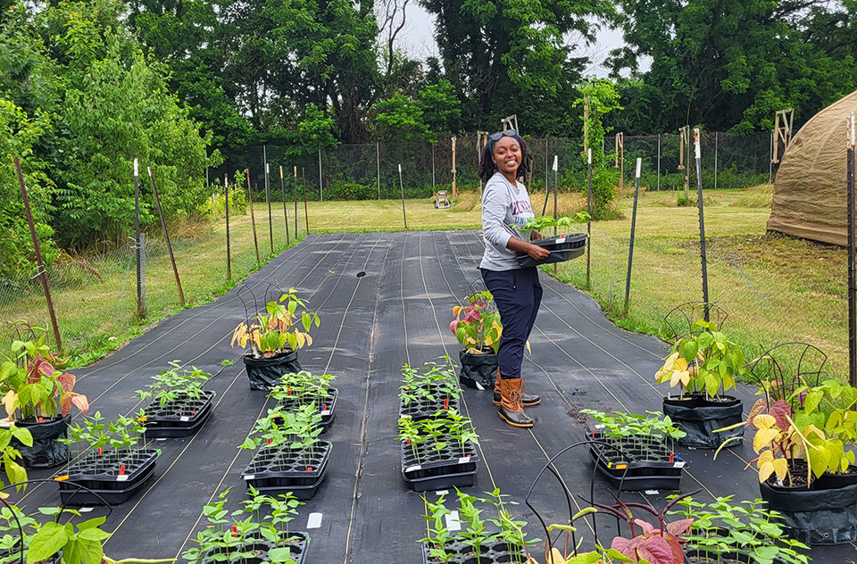 Woman carrying plants in a garden near a greenhouse