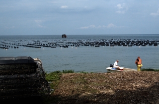 One of J.D. Blackwell's oyster leases in St. Mary's County, Md. Oysters filter the water and provide habitat, but they can cause friction with neighbors who would rather not see buoys or floats. Photo credit: Rona Kobell