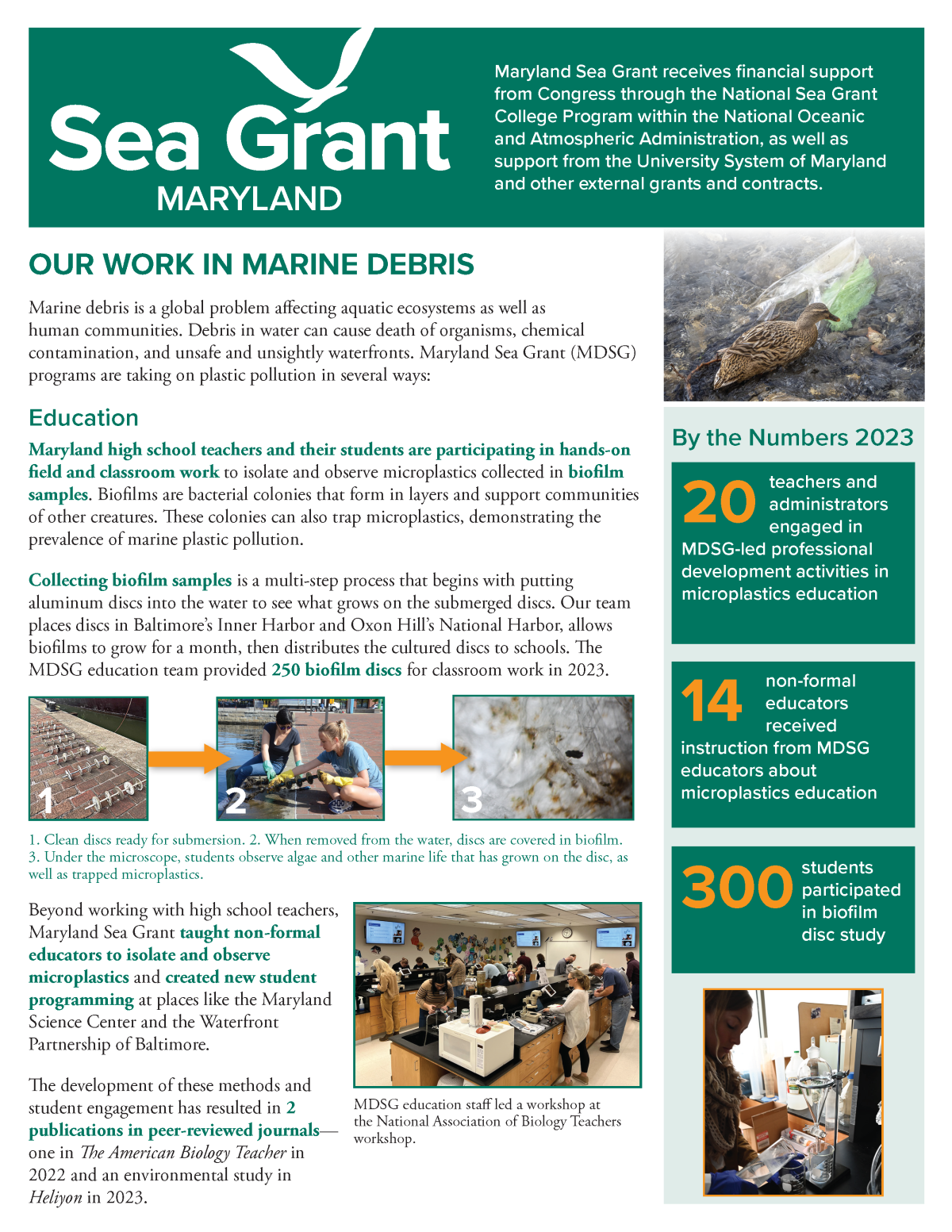 A one-page flyer with photos and information on Maryland Sea Grant's marine debris work