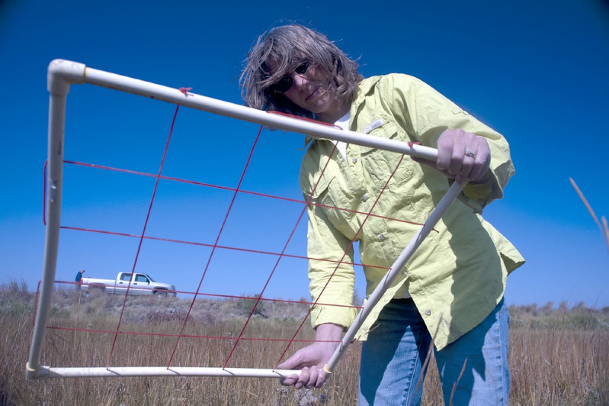 A woman holds a quadrant over marsh grass.