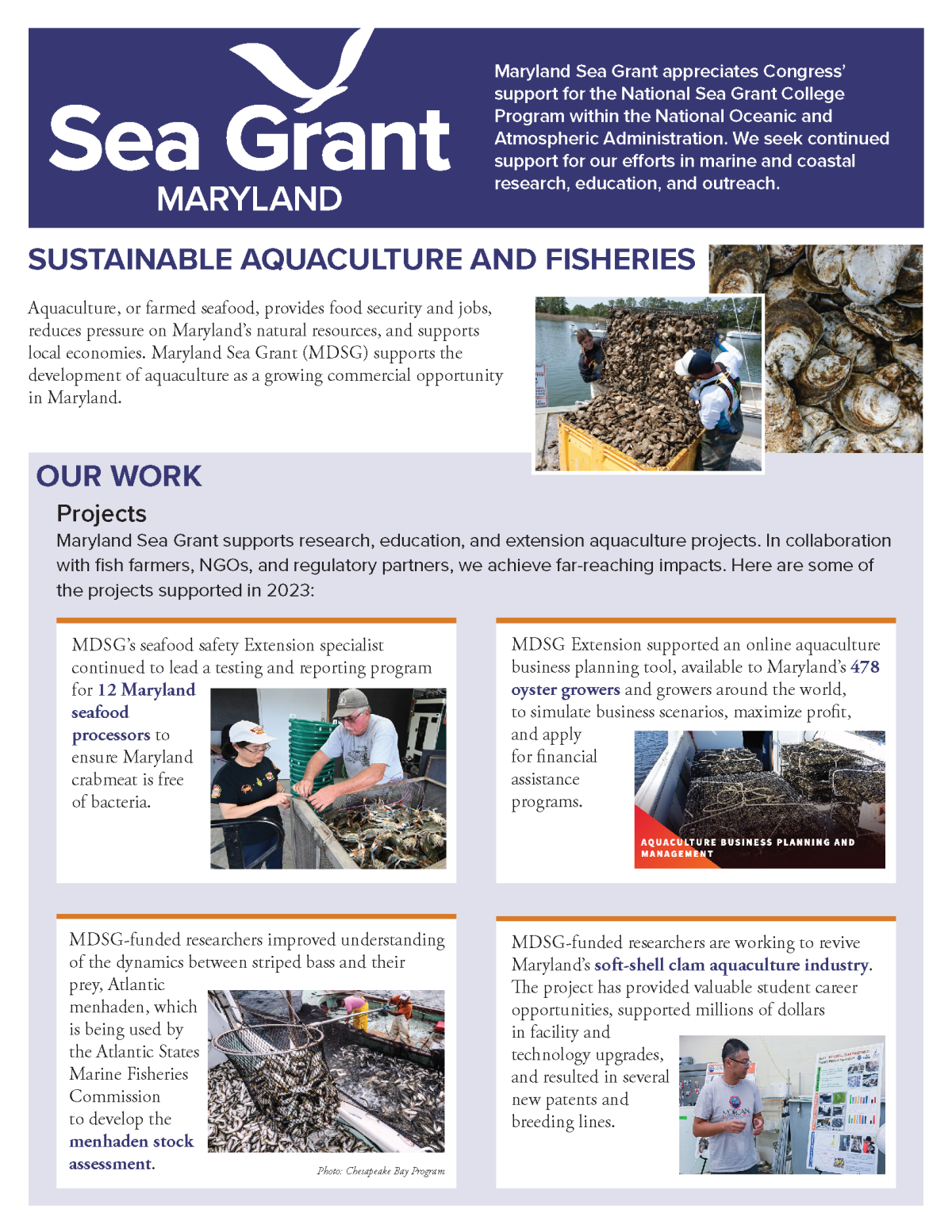 Congressional flyer about Maryland Sea Grant's work and impact with aquaculture and fisheries